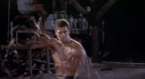Bruce-Leroy-The-Glow-Arms-in-Motion-The-Last-Dragon-Animated.gif