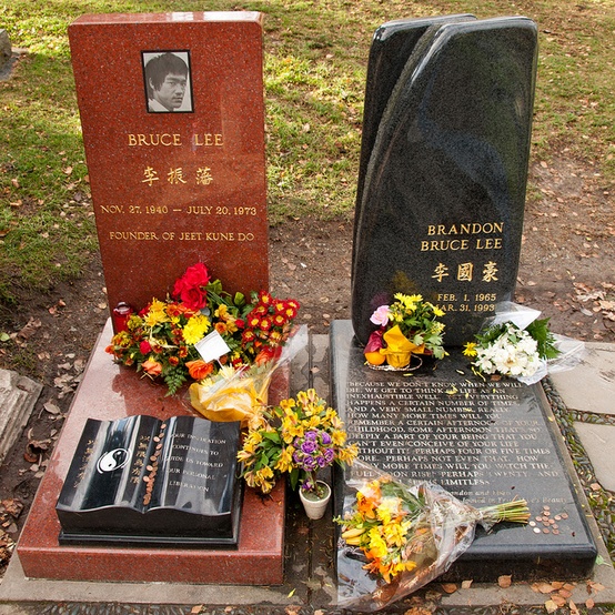 Bruce Lee's Game of Death Reveals What Really Killed Son Brandon Lee The Last Dragon Tribute
