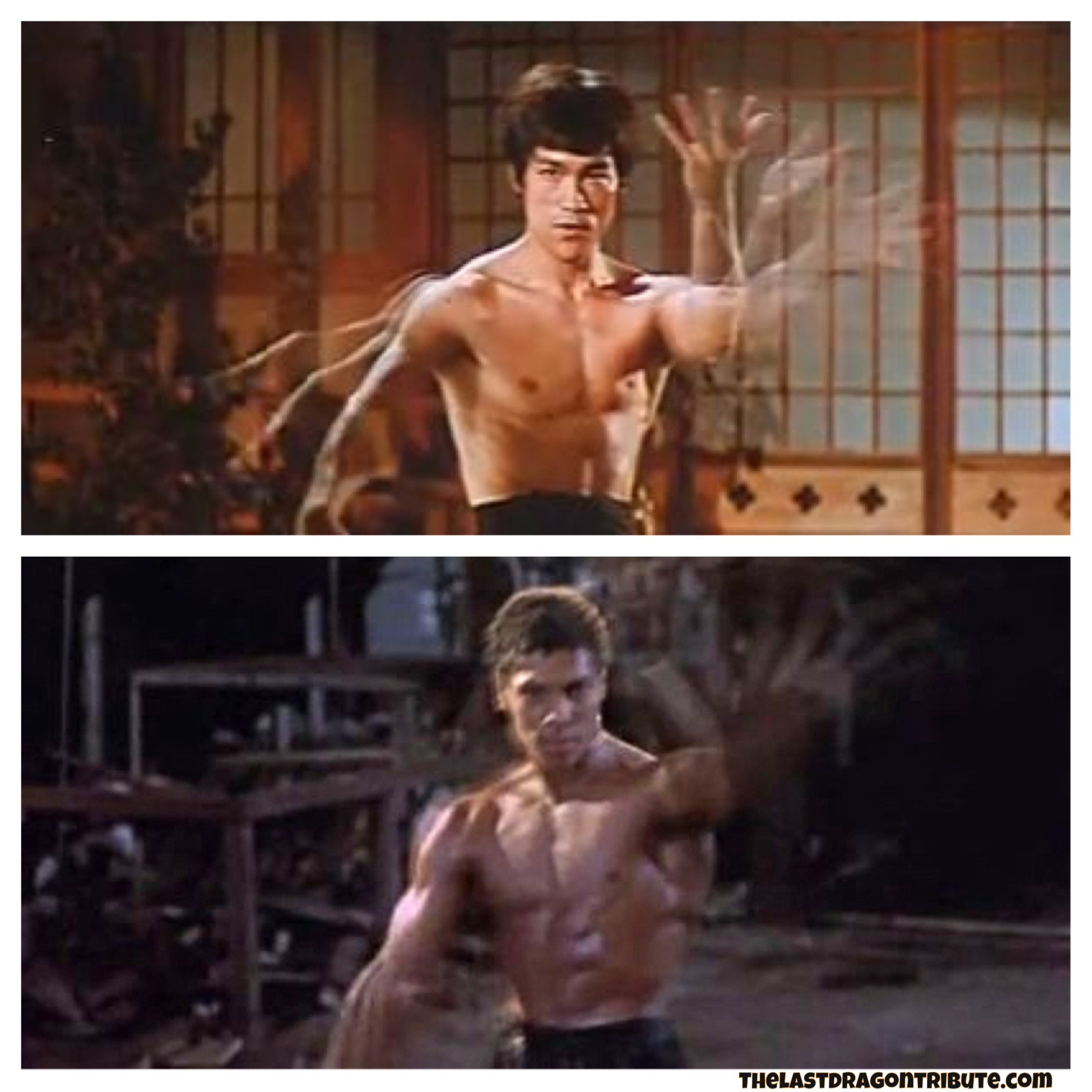 Bruce-Lees-Slow-Motion-Arm-Move-Chinese-Connection-vs-Bruce-Leroys-The-Last-Dragon.jpg
